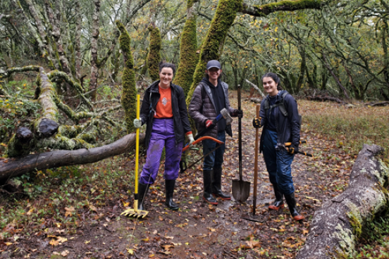 Group of students on a trail with tools