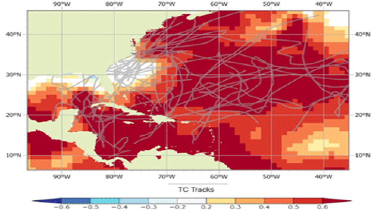 Cyclone Tracks in the Ocean