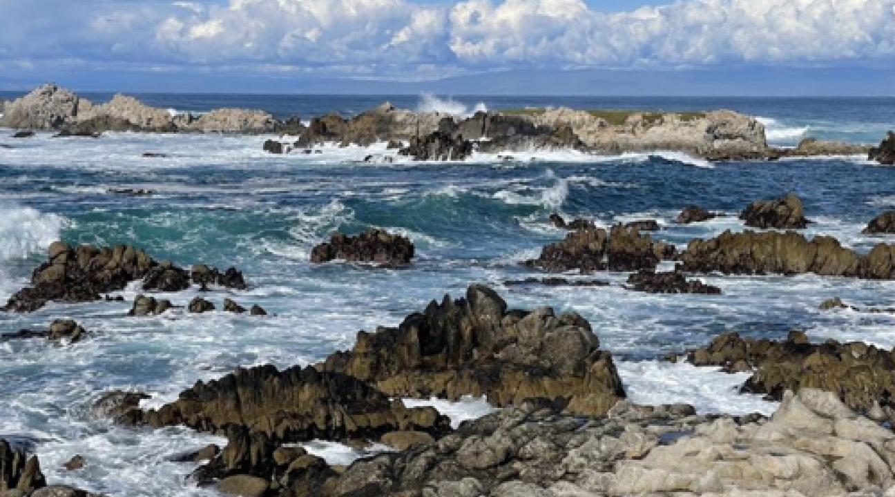 Asilomar Beach