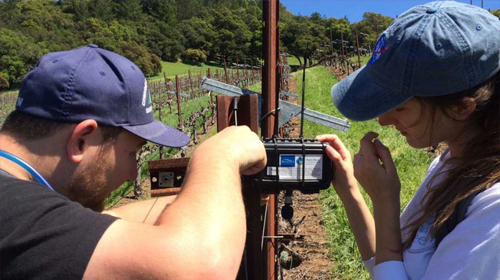 Citizen Scientists taking measurements