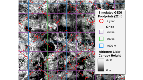 Lidar image showing canopy height