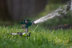 Water sprinkler