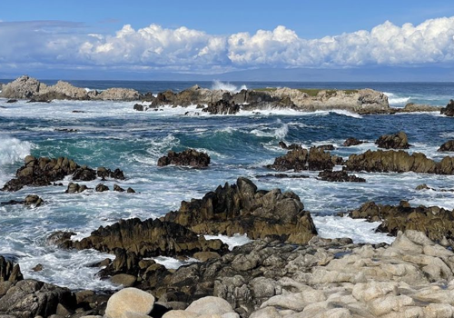 Asilomar Beach