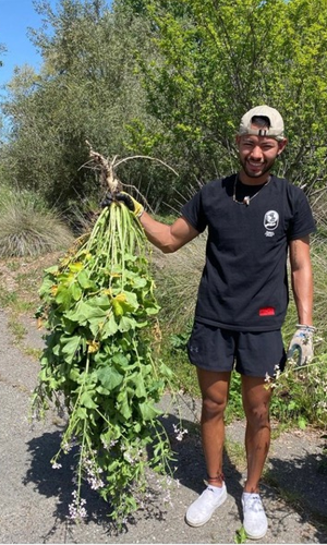 Student holding large plant