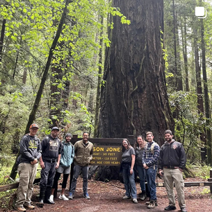 Students hiking in redwoods