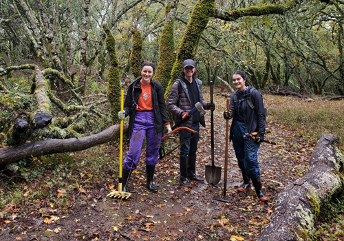 Group of students on a trail with tools