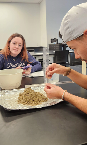 Students analyzing soil