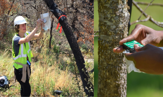 Student evaluating data in the field