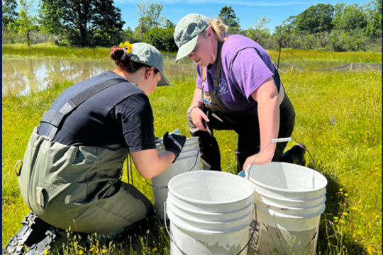 Two students in the field examing data